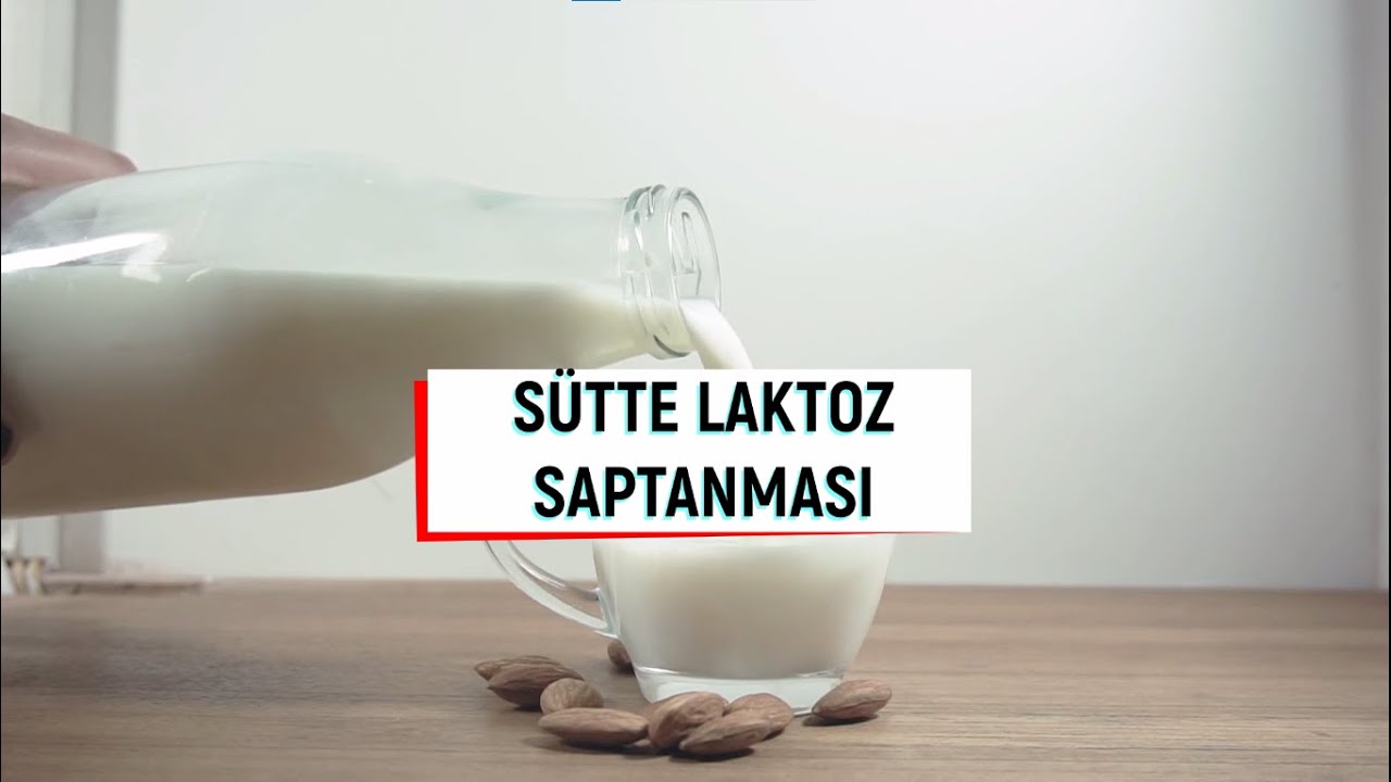 S&Uuml;TTE LAKTOZ SAPTANMASI