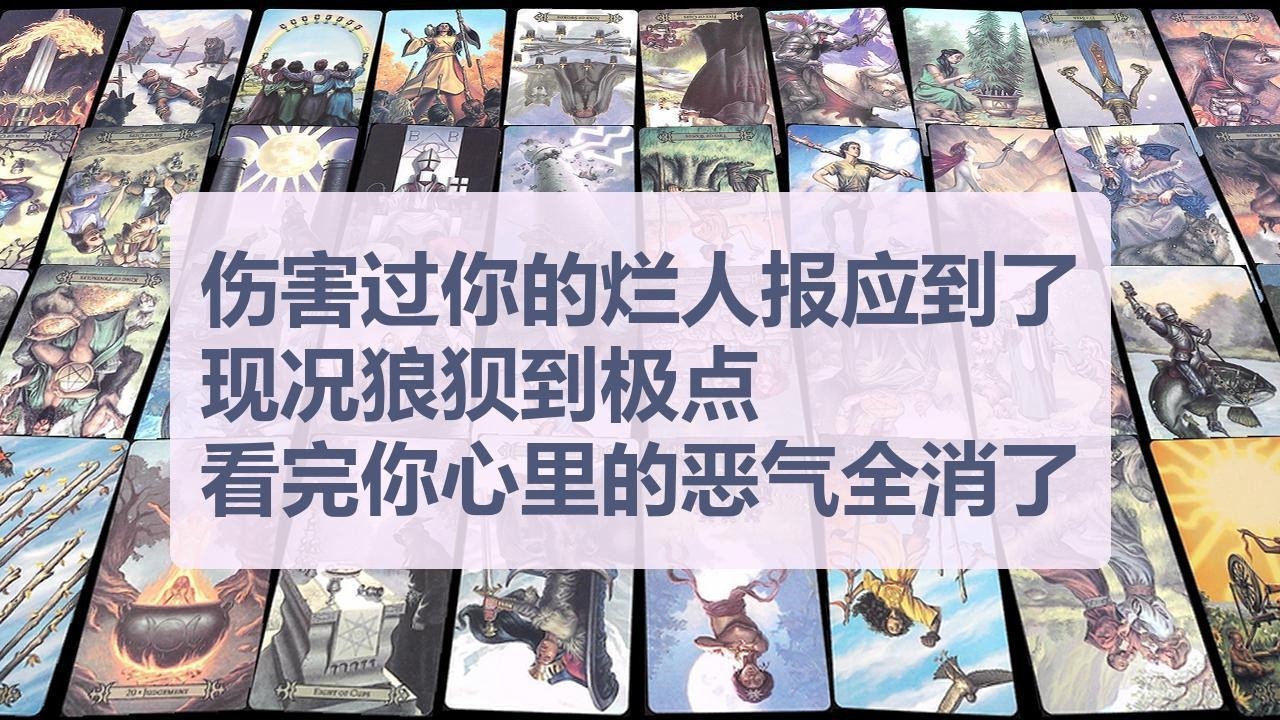 Tarot✨伤害过你的烂人报应到了！现况狼狈到极点，看完你心里的恶气全消了