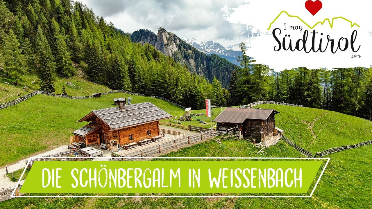Südtirol Fahrradfahren ❤️ Die Schönbergalm ➡️ Weißenbach im Ahrntal ☀️ Urlaub in Südtirol