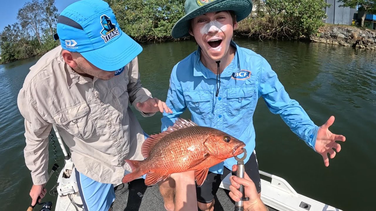 Same-Day Catch & Cook: Tweed River Mangrove Jack & Trevally | Mixed Bag Estuary Session
