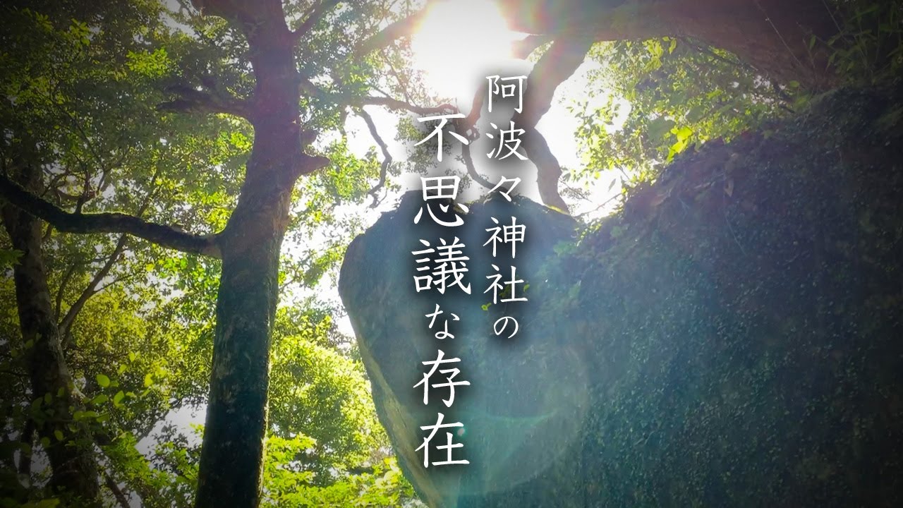 [spiritual & Mysterious video] Fairy-like creatures found at Awawa Shrine (Shizuoka, Japan) UMA#02
