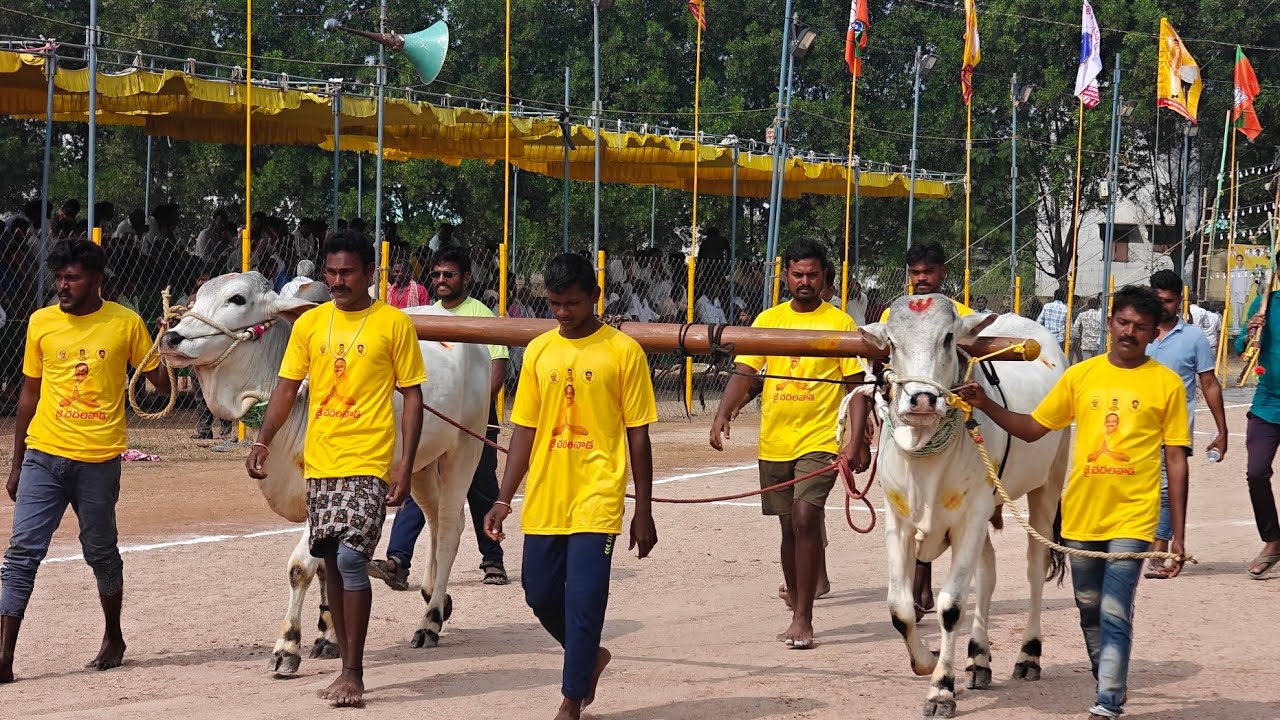 నరసరావుపేటలో టచ్ పళ్ళ్ళలో 3జత