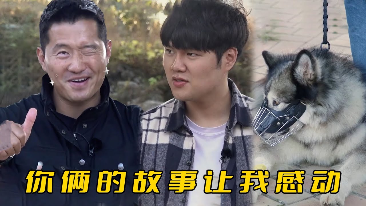 阿拉斯加一生只認一位主人，分離後就瘋狂自殘，訓犬師誇它忠誠得像童話