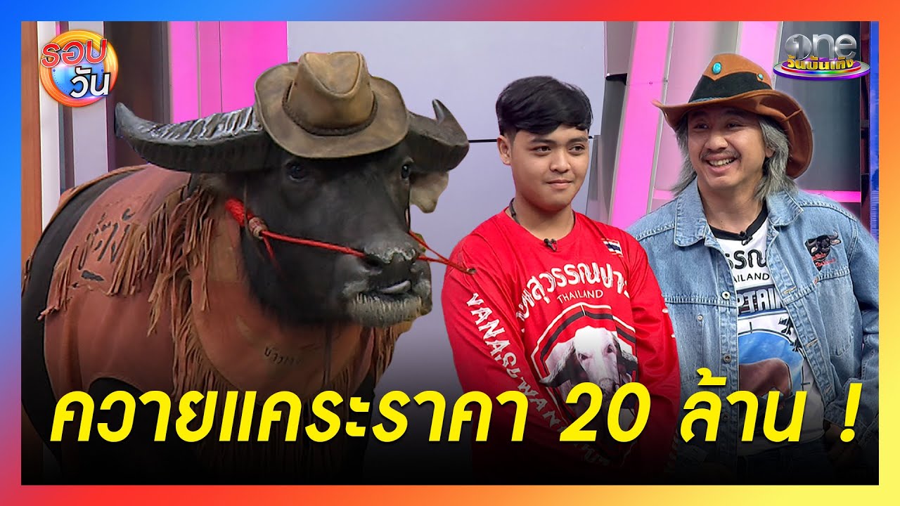 ชมความน่ารักแสนรู้ “น้องข้าวตังขาหมู” ควายแคระมูลค่า 20 ล้าน!  | Highlight | รอบวัน 2025