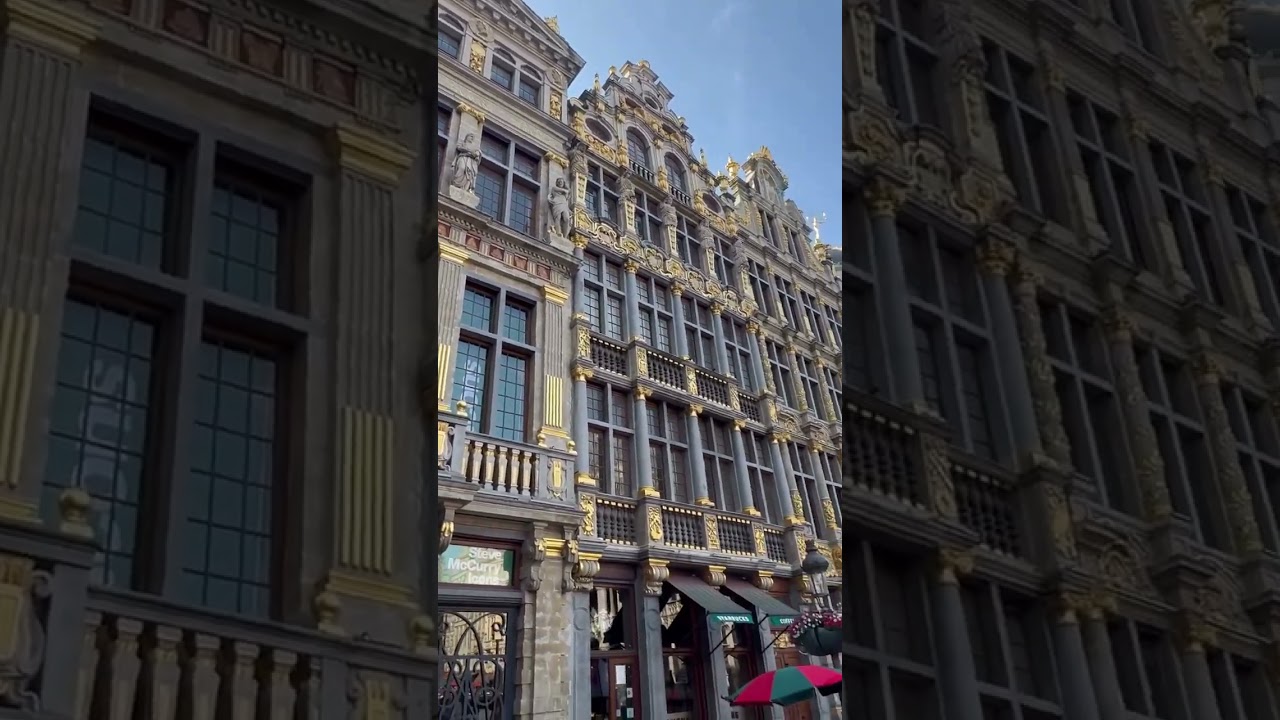 Maharishi Aazaad The Legend In Belgium | Grand Place Brussels | Maharishi Family | World Broadcast