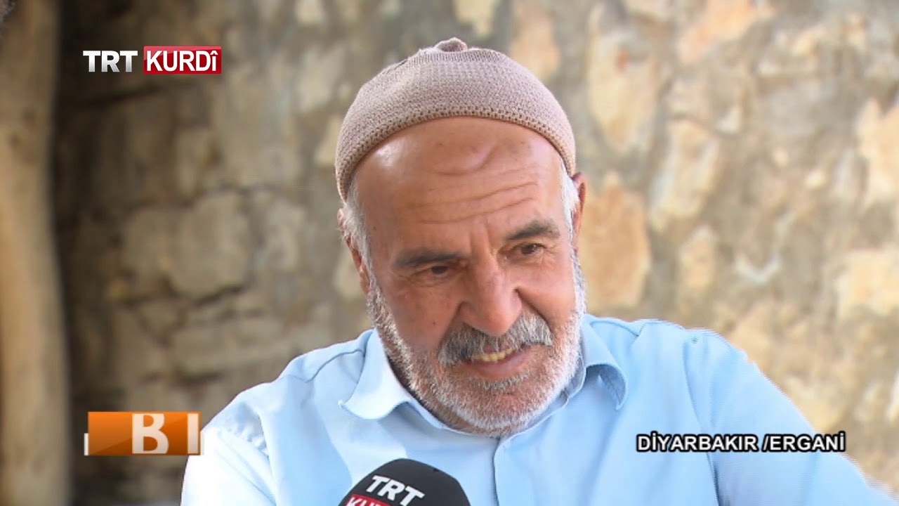 BIGEYR BIVİN GEZELİM GÖRELİM BEŞA 10
