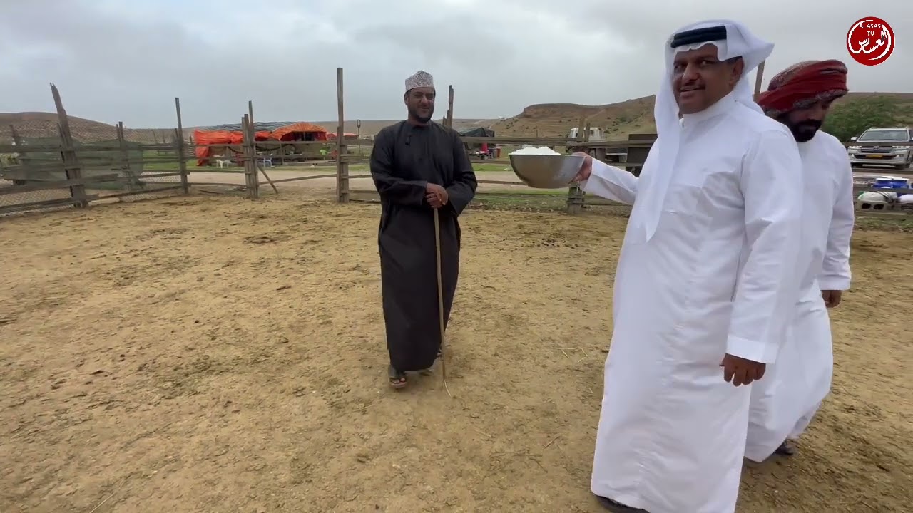 ملاك الإبل في صلالة