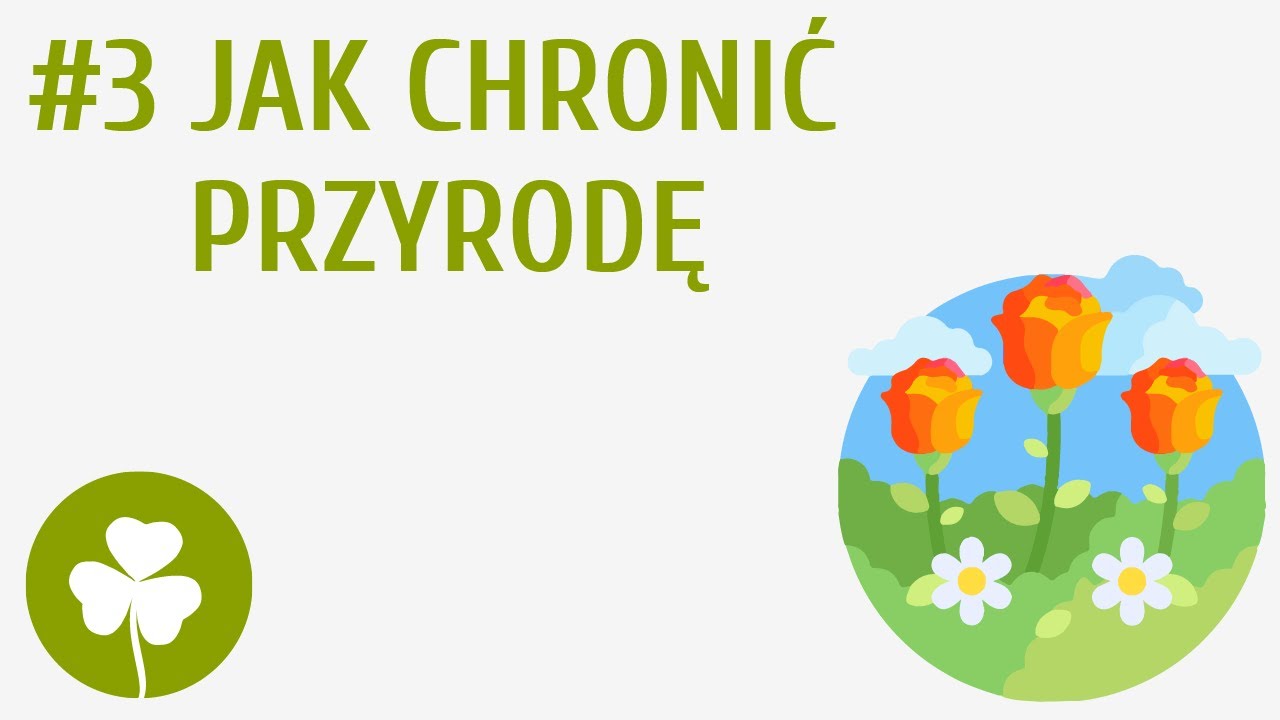 Jak chronić przyrodę #3 [ Moje najbliższe otoczenie ]