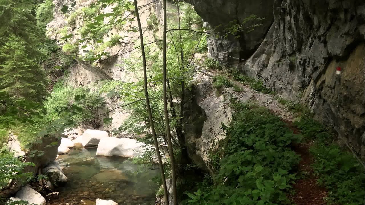 Paularo