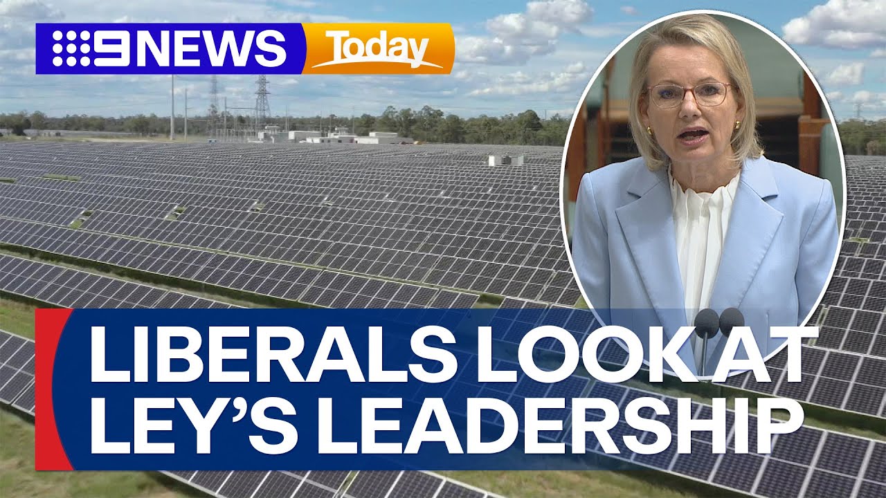 Net zero nightmare | 9 News Australia