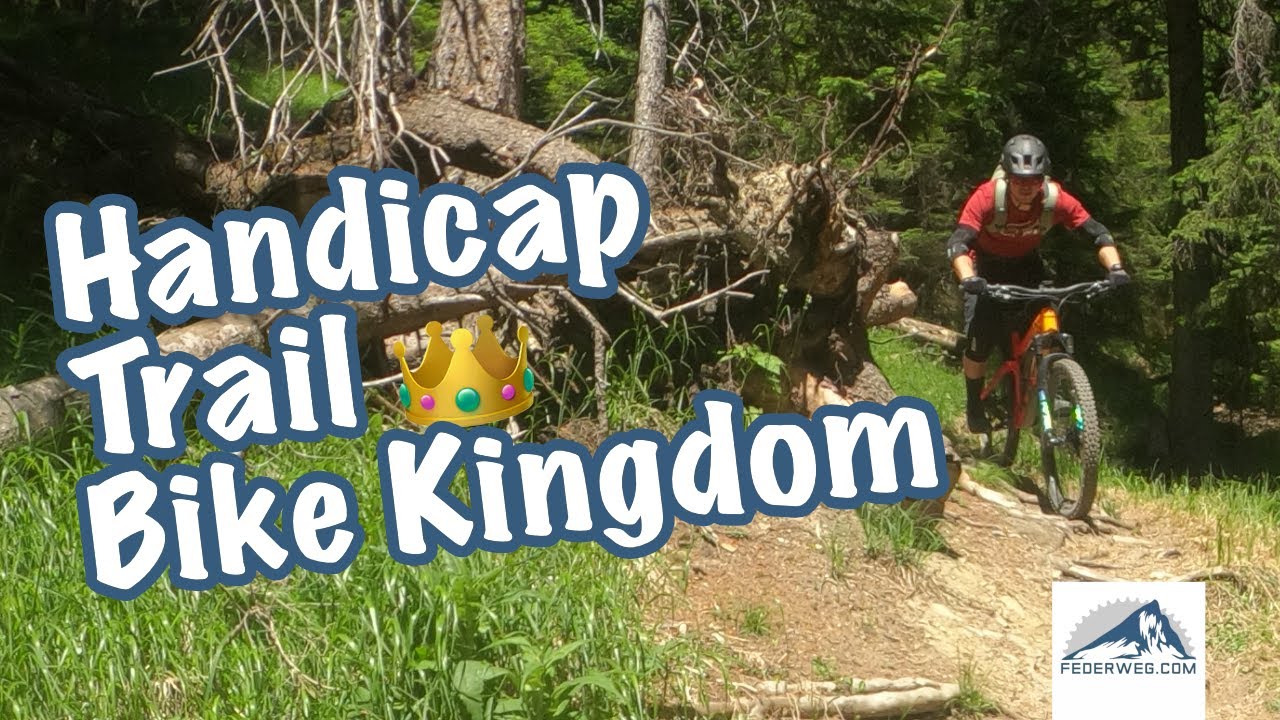 Wurzeln satt auf dem Handicap Trail im Bike Kingdom Arosa Lenzerheide (Ausschnitt)