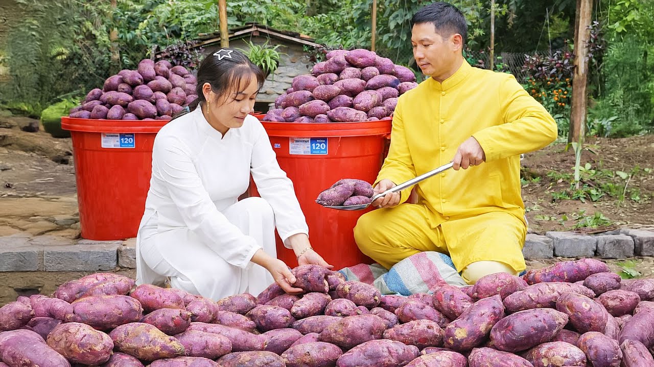 Harvesting Purple Sweet Potatoes with My Husband – Cooking Local Specialties with Sweet Potatoes