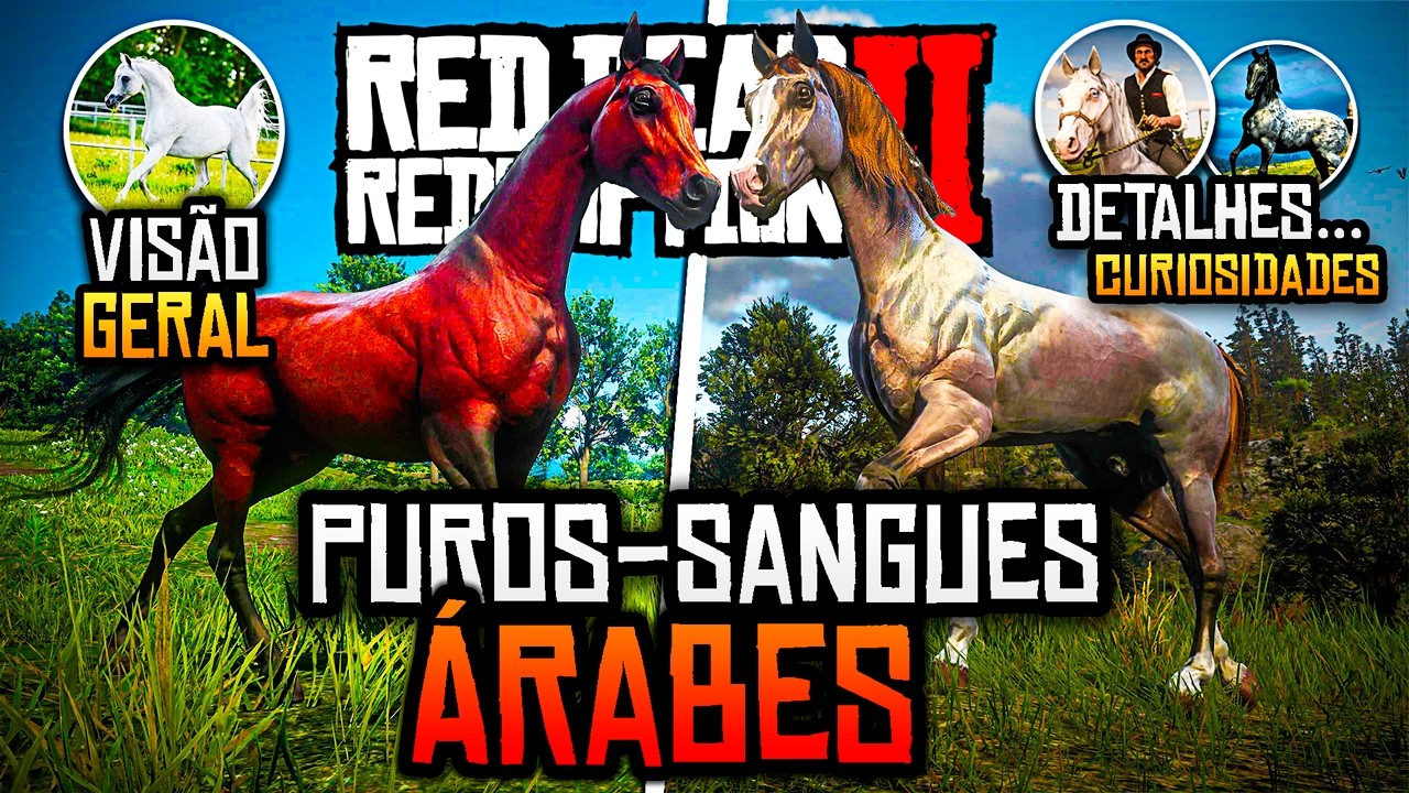 GUIA DE CAVALOS #5: PUROS-SANGUES ÁRABES - RDR2