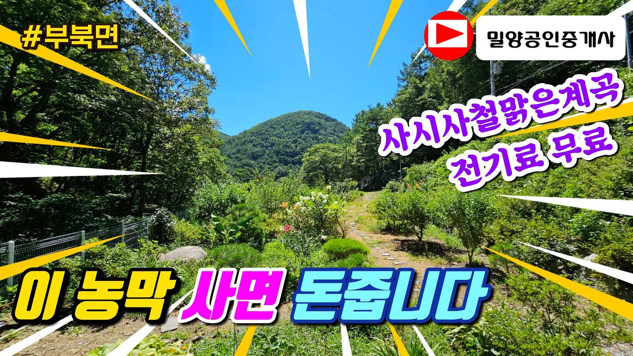 250804. 사시사철 맑은 계곡물이 흐르고 농막있는 토지 #밀양토지 #밀양농막 #밀양부동산 #밀양땅