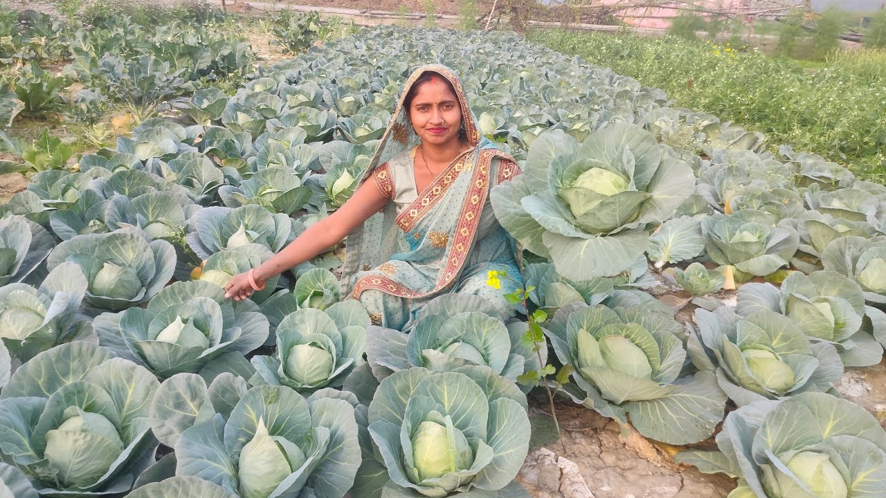 पत्ता गोभी का ऐसा नाश्ता बनाया कि यकीन मानिए सासुमां ने खाकर खुब तारीफ किया😋|| Pattagobhi breakfast 