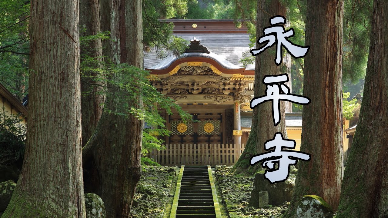 永平寺  福井県永平寺町  【蔵出し動画2019】  Eiheiji  Temple  Fukui Prefecture