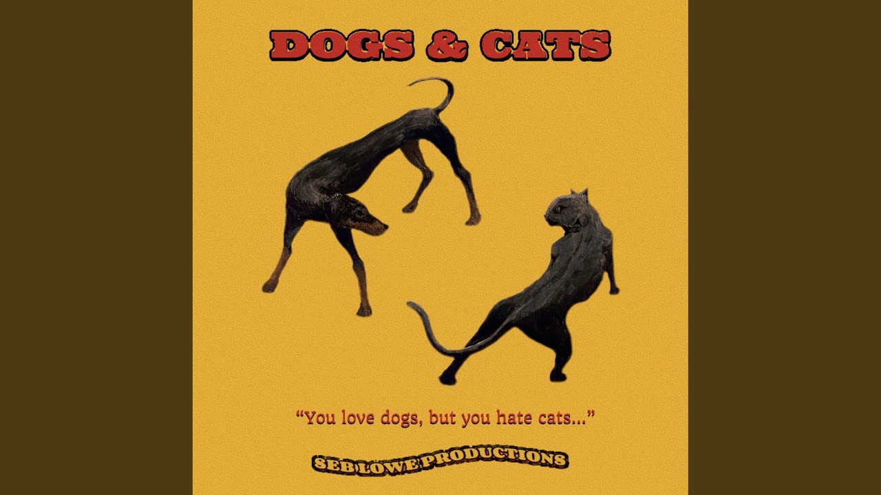 Dogs & Cats
