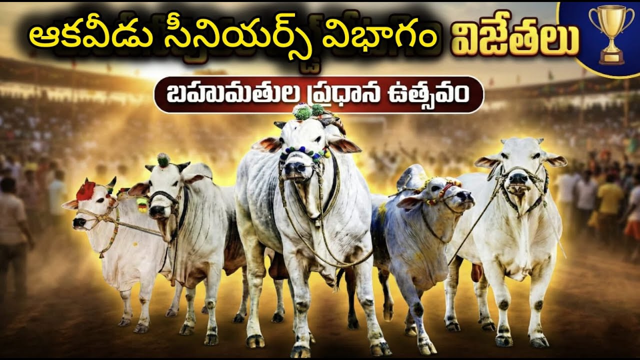 🚩2/2/2026ఆకవీడు గ్రామం సీనియర్స్ విజేతలు