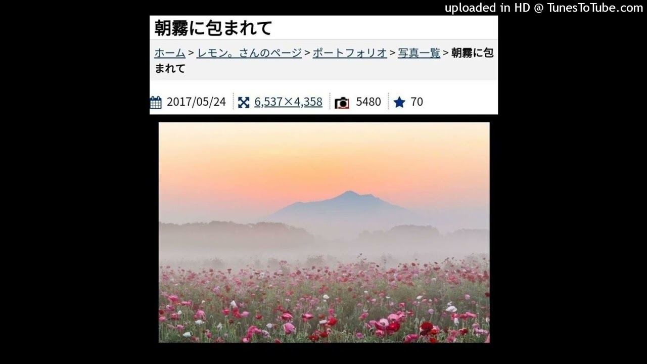 0neo x ambient x experimental type beat