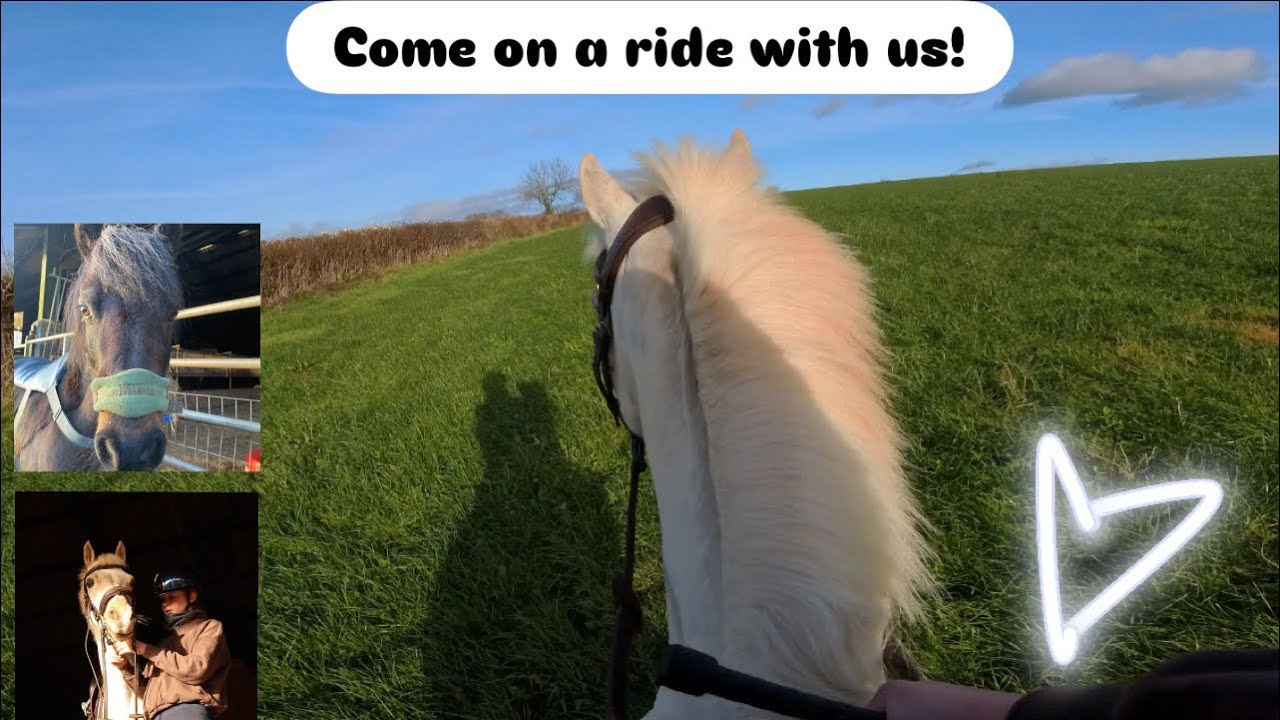 come on a ride with me tipi and rainbow !! 