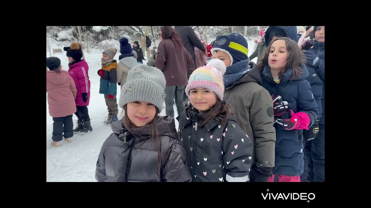Ջրվեժ անտառապարկում