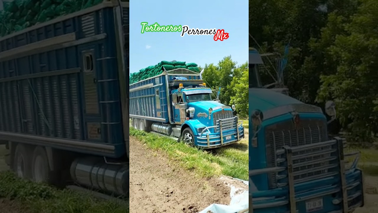 Gajes del oficio y comino traicionero torton kenworth t800 chilero se acuesta