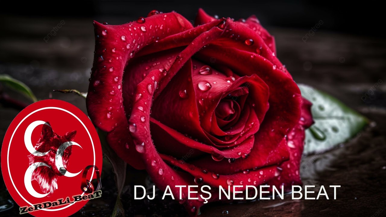 Dj Ateş Neden BeaT ZeRDaLi_BeaT