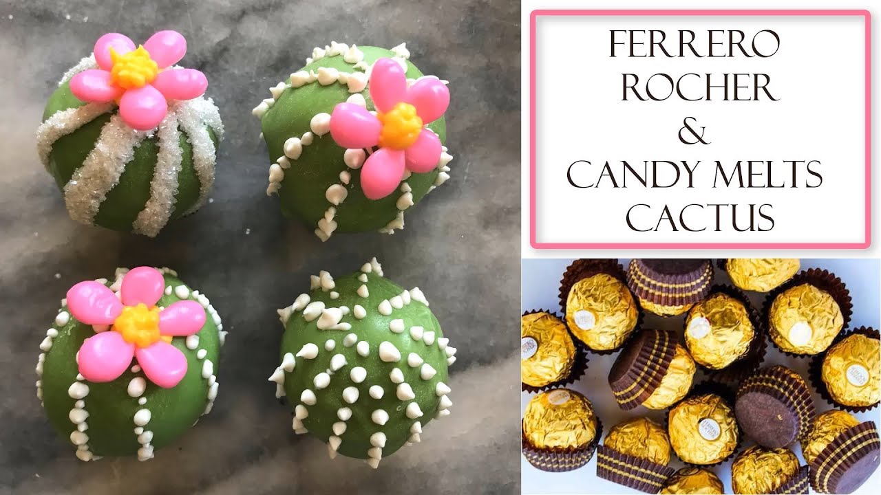 How to make Chocolate Cactus | Wilton Candy melts & Ferrero Rocher