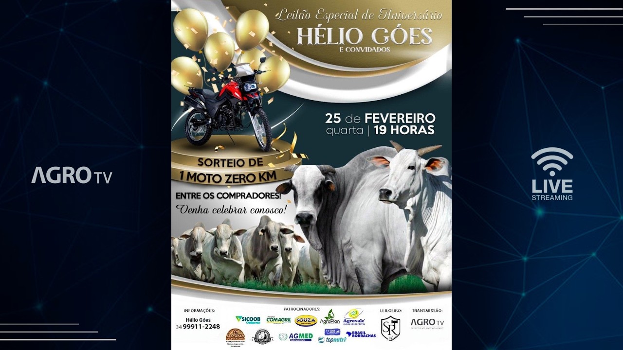 LEILÃO ESPECIAL DE ANIVERSÁRIO HÉLIO GÓES E CONVIDADOS - 25/02/2026