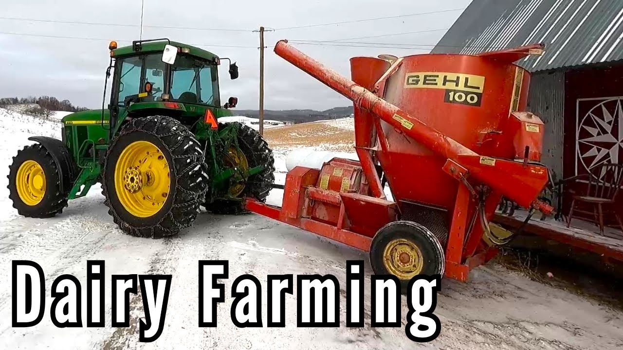 The Dairy Farm Grind!
