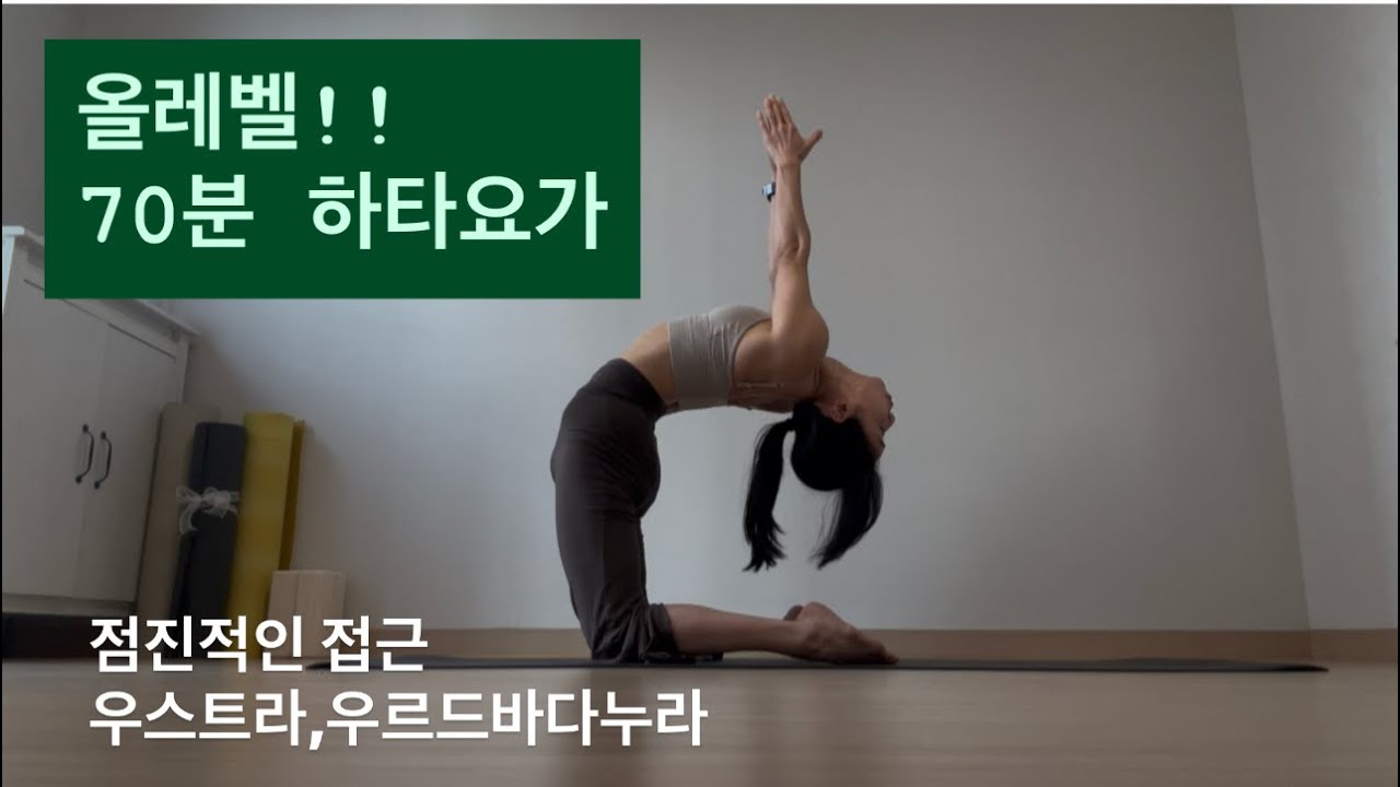 집중 하타수련 70분요가 점진적접근 초,중급 수련