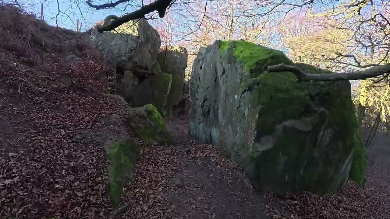Green Gateways 2026 Half Marathon Recce