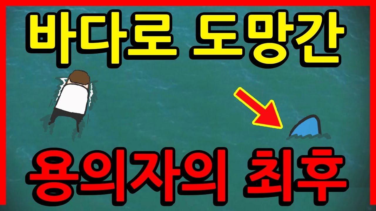함부로 바다에 들어가면 안되는 이유🦈 ｜빨간토마토
