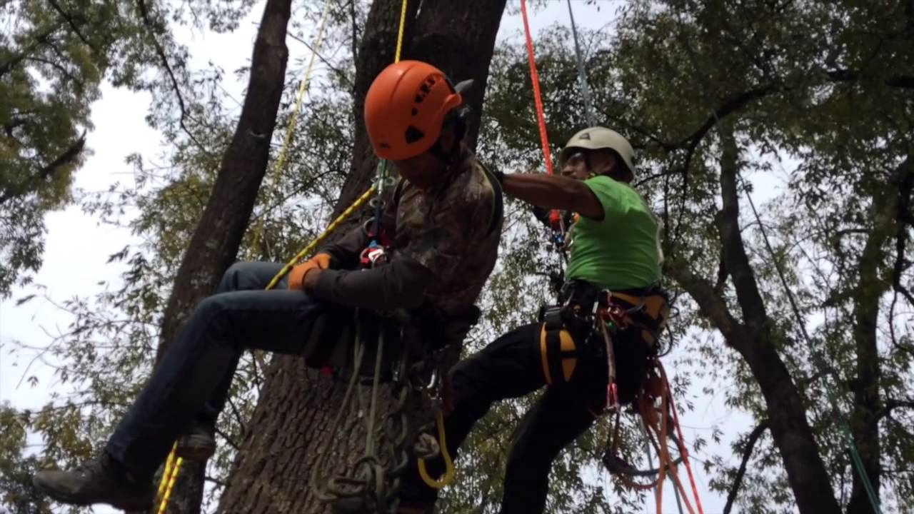 Rescate Aéreo