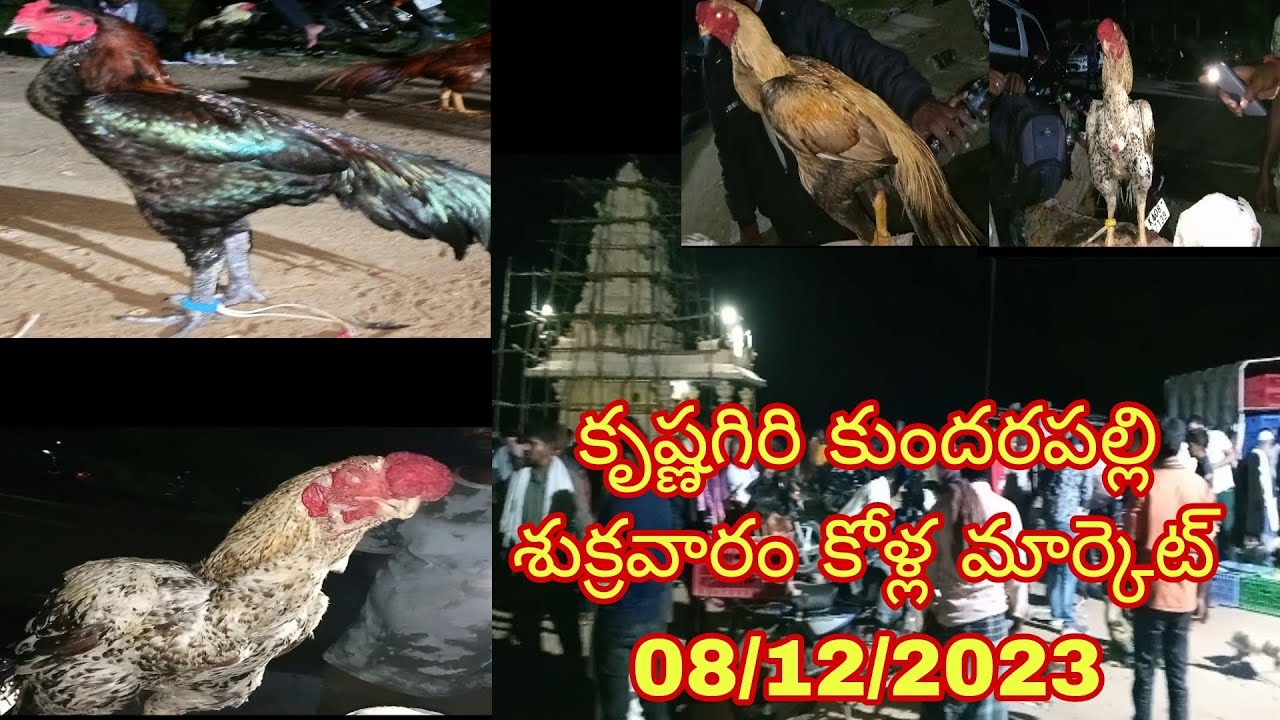 Krishnagiri Kundarapalli Friday Hens market || In telugu