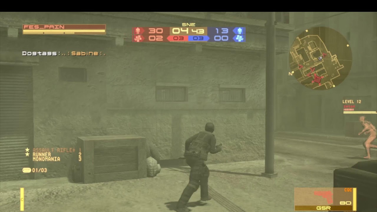 FES_PAIN MGO2