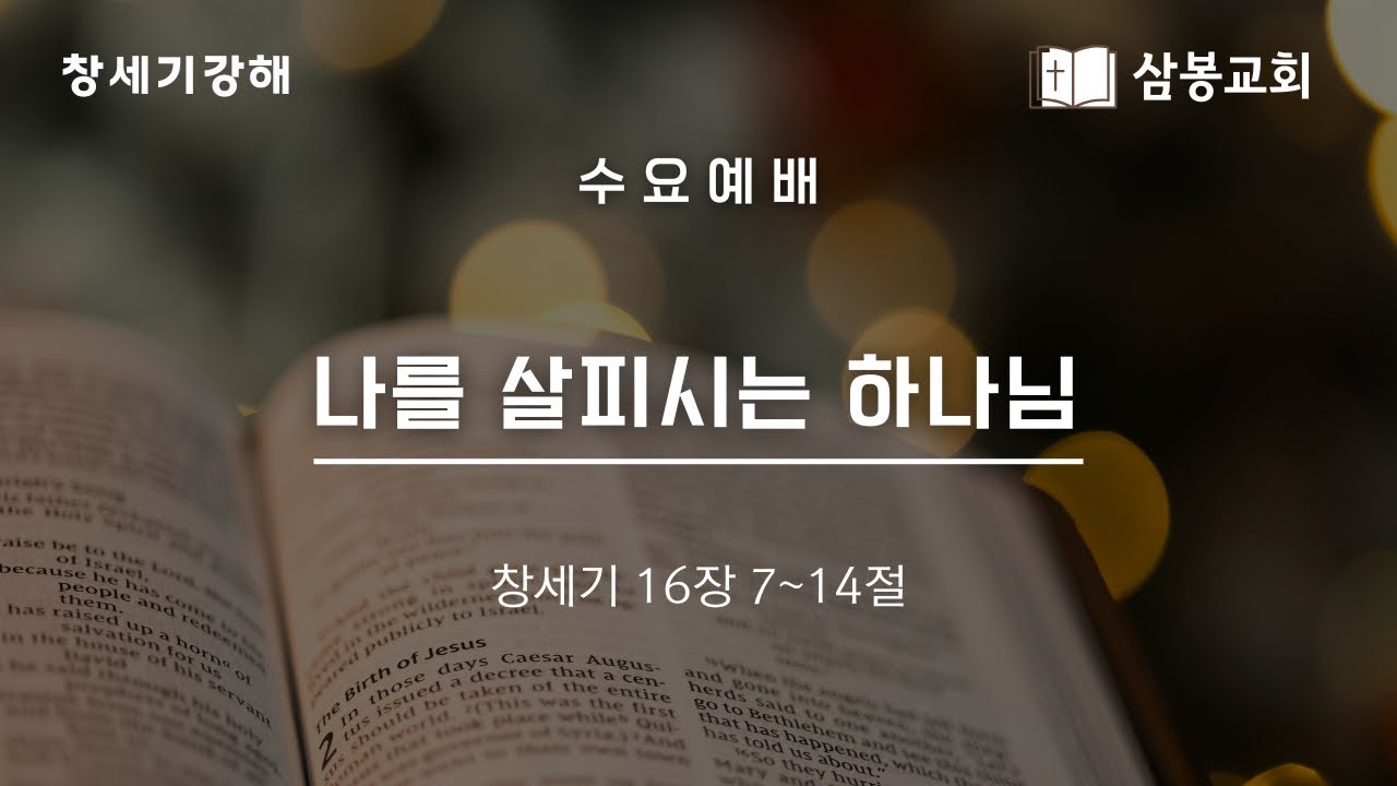 창세기강해 / 본문말씀 창세기 16:7~14 “나를 살피시는 하나님” | 2026.1.28
