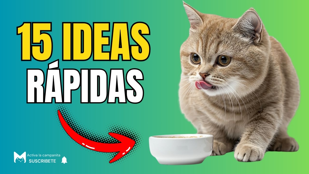 15 snacks naturales para gatos (rápidos y caseros)