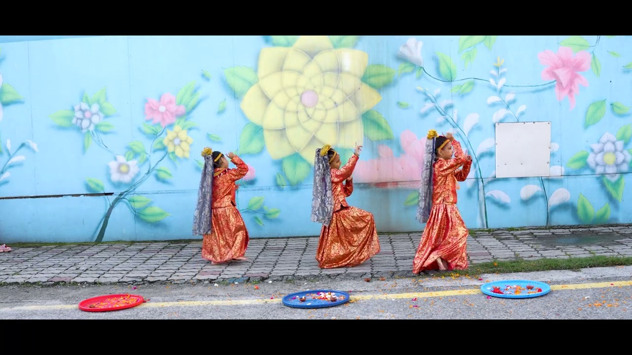 Song :pani mitho mero hajur/ Cover video