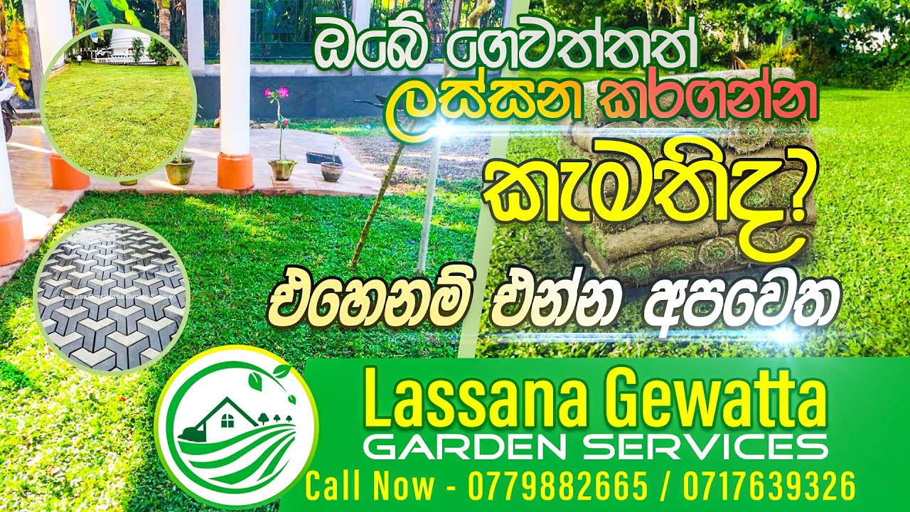 ගෙවතු අලංකරණයේ විශ්වාසණීය නාමය - ලස්සන ගෙවත්ත garden services | lassana gewaththa | Venasa.lk