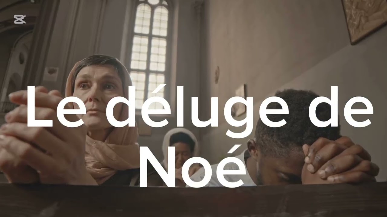 LE DÉLUGE DE NOÉ EN QUELQUES FACETTES.