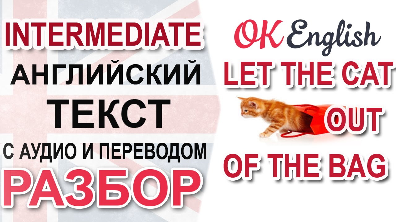 Let the Cat Out of the Bag. Intermediate English text. English lessons.