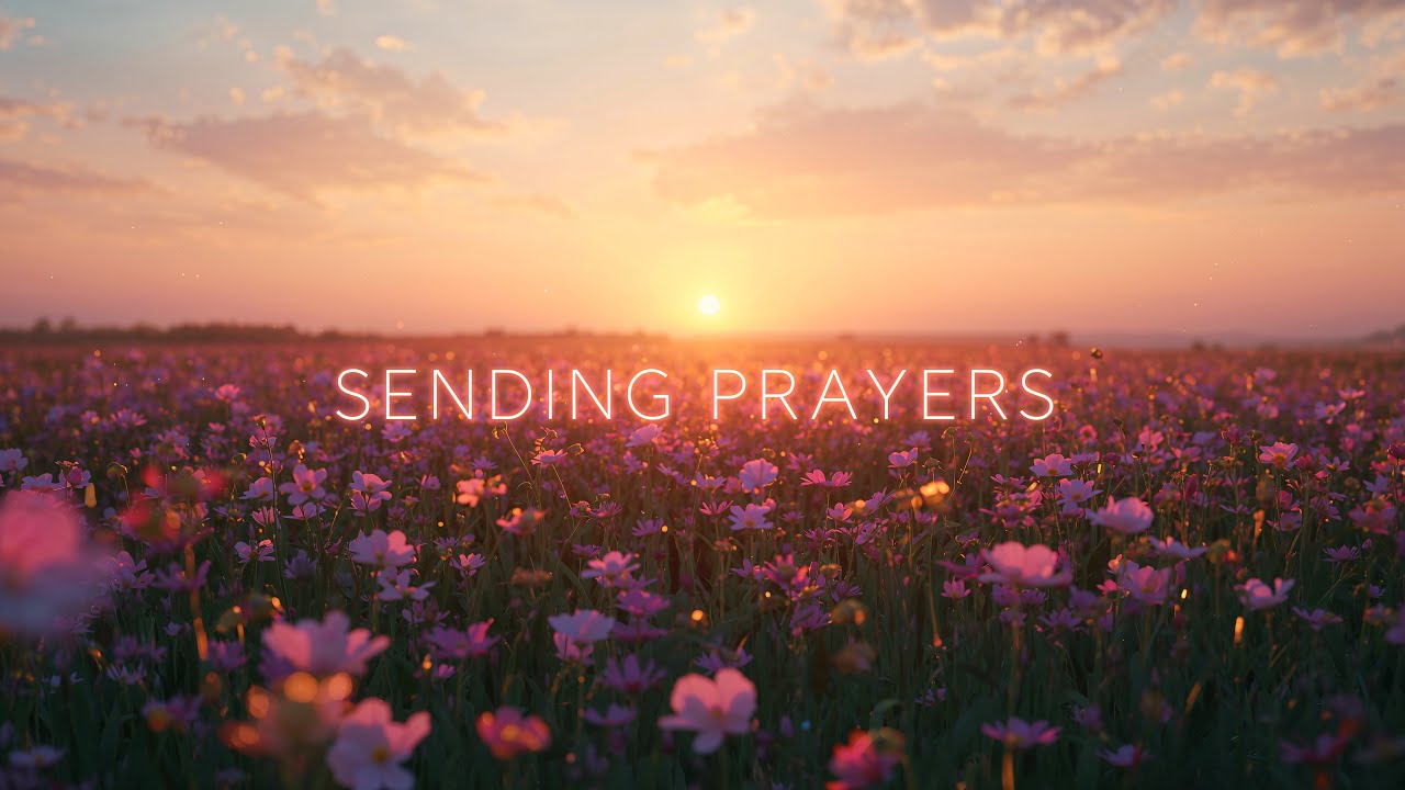 Sending Prayers – This Is Your Safe Place | Lenzspot