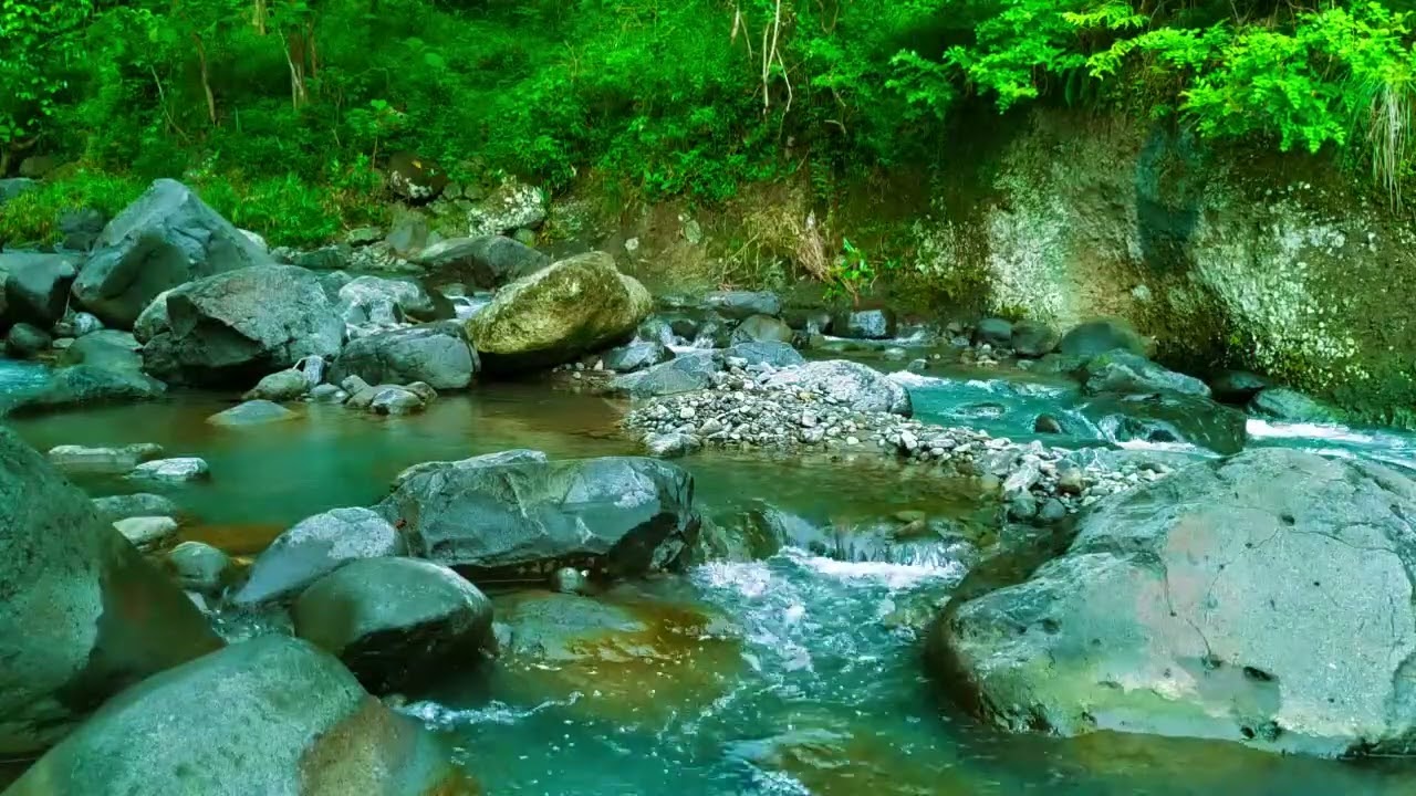 leep Soundly with Peaceful River Melody and Calm Water Sounds in Peaceful Forest