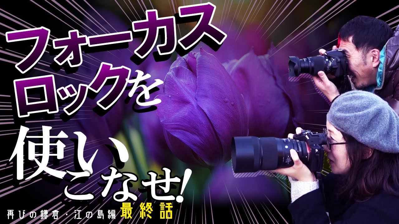 【写真散歩】ロックでいこう！フォーカスロックを使いこなして狙い撃ち！【一眼カメラ】