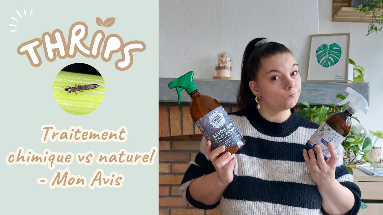 🦟THRIPS 🪴 || traitement CHIMIQUE VS NATUREL lequel choisir ?
