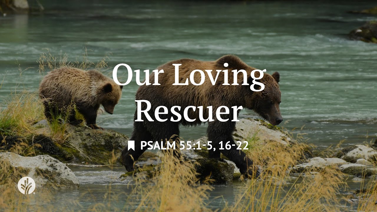 Our Loving Rescuer | Audio Reading | Our Daily Bread Devotional | December 27, 2025