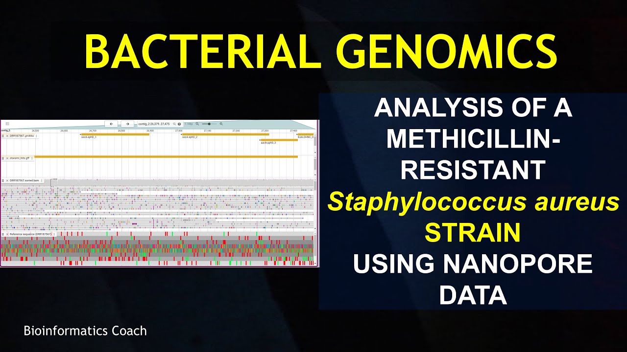 Bioinformatics Analysis of methicilin-resistant Bacterial strain using nanopore data
