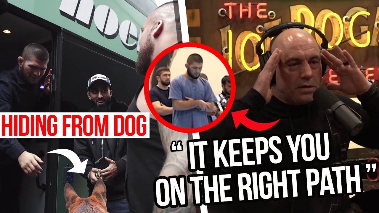 Joe Rogan IMPRESSED By The 5 Daily Prayers In Islam | Khabib Nurmagomedov Scared of Dogs!