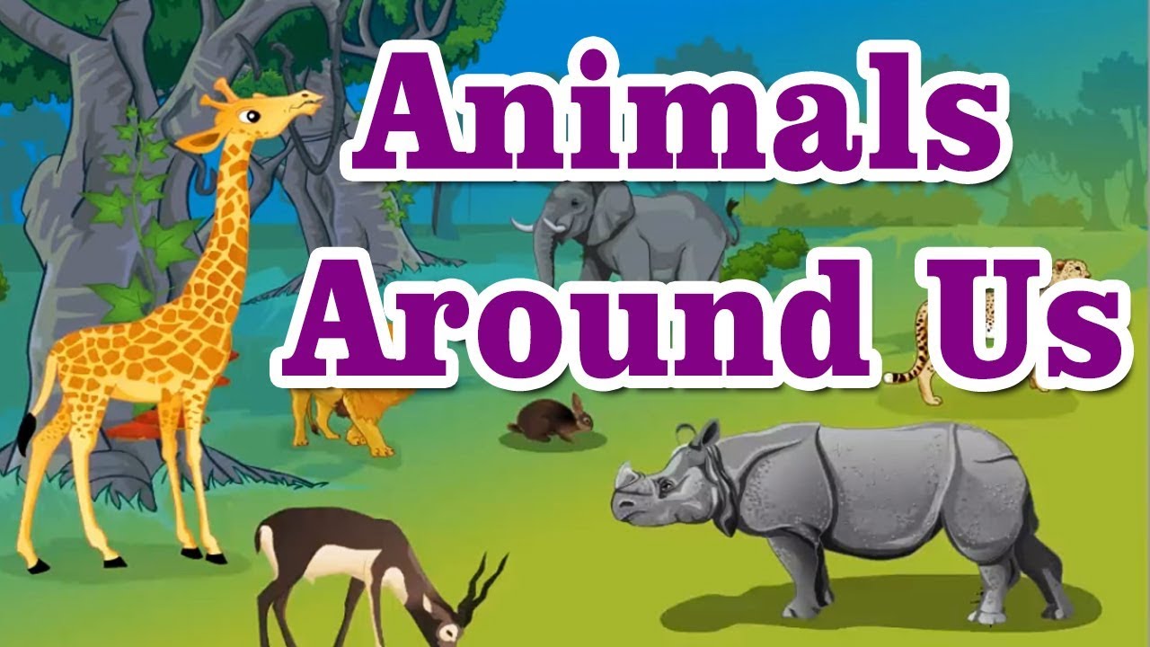 The Animals Around Us